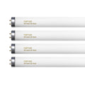 20 Watt T12 Fluorescent Tube Light Bulb Daylight 4 Count Q814374