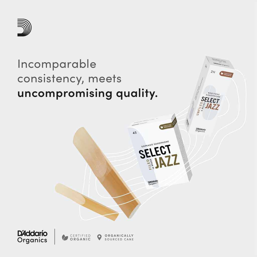 Alto Saxophone Reeds 3 Soft 10 Pack W972
