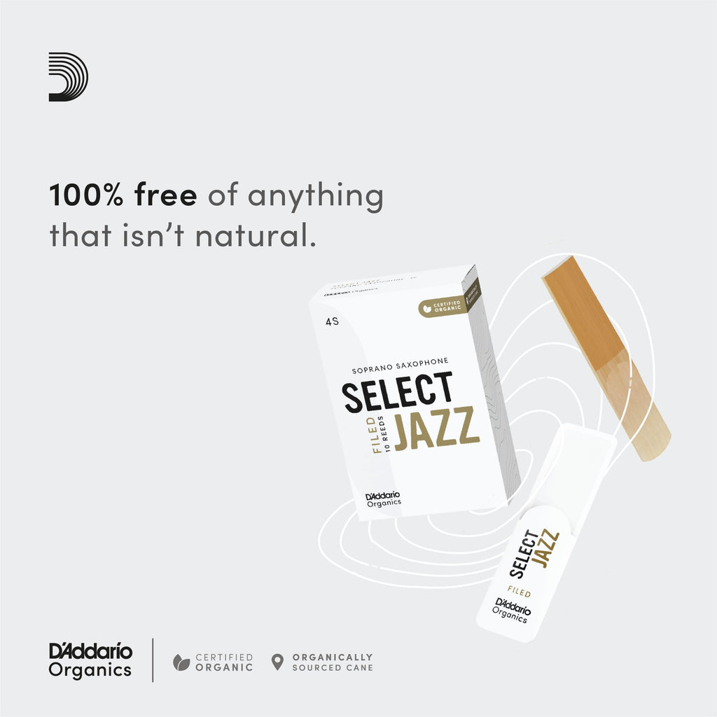 Alto Saxophone Reeds 3 Soft 10 Pack W972