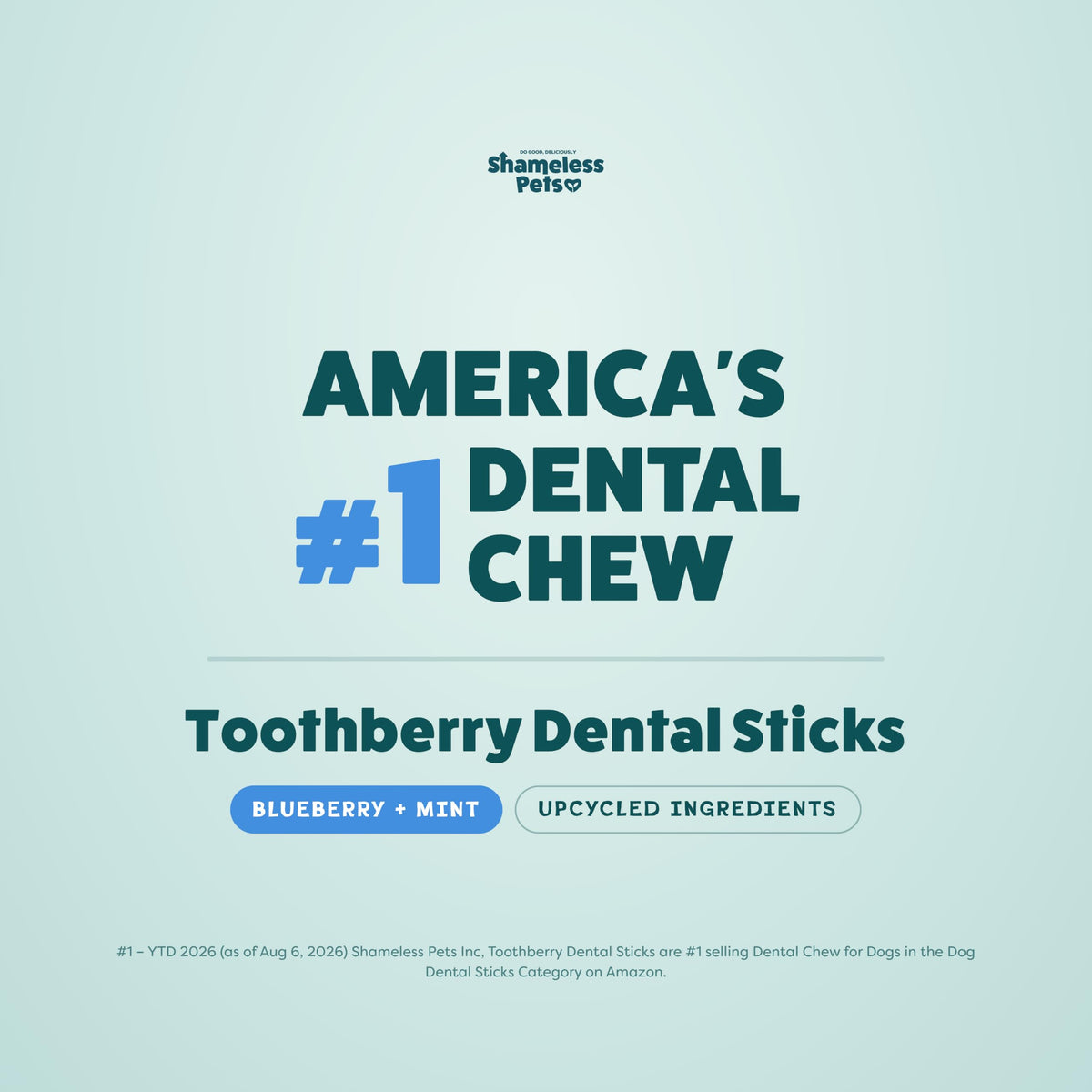 Blueberry & Mint Dental Chews for Dogs, 8 Chews S406