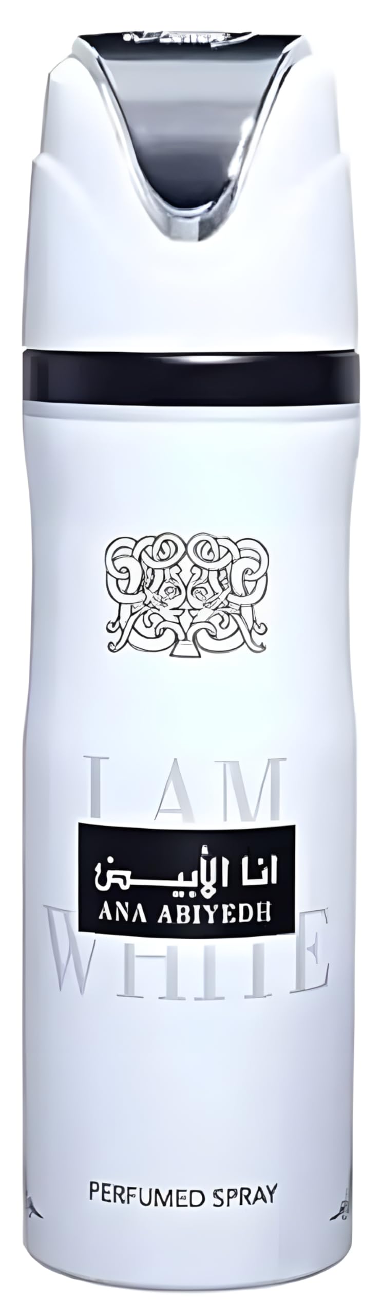 Perfumed Deodorant Spray for Men, 6.7 Ounce N8513