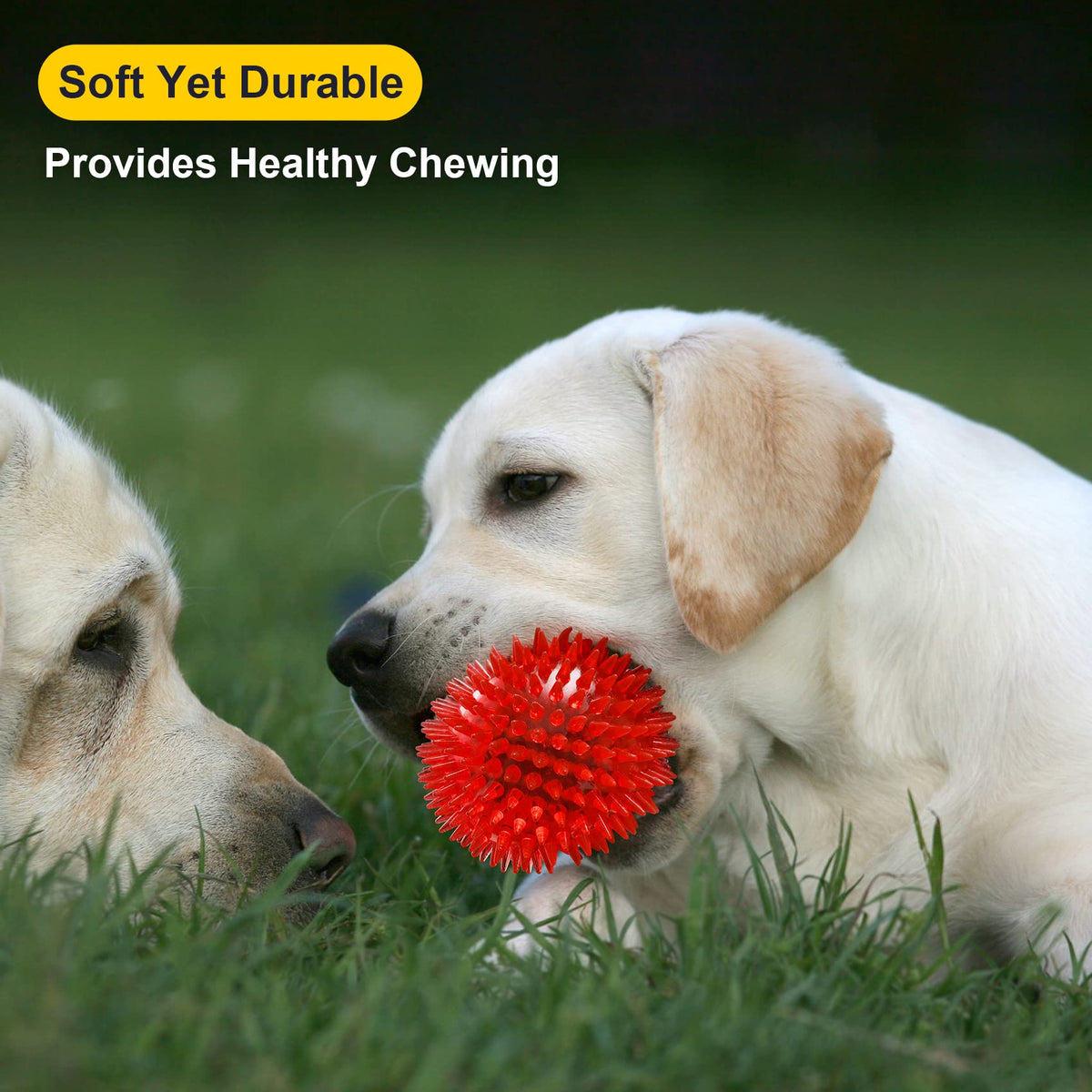 Squeaky Dog Toy Balls BPA Free Non-Toxic R45757