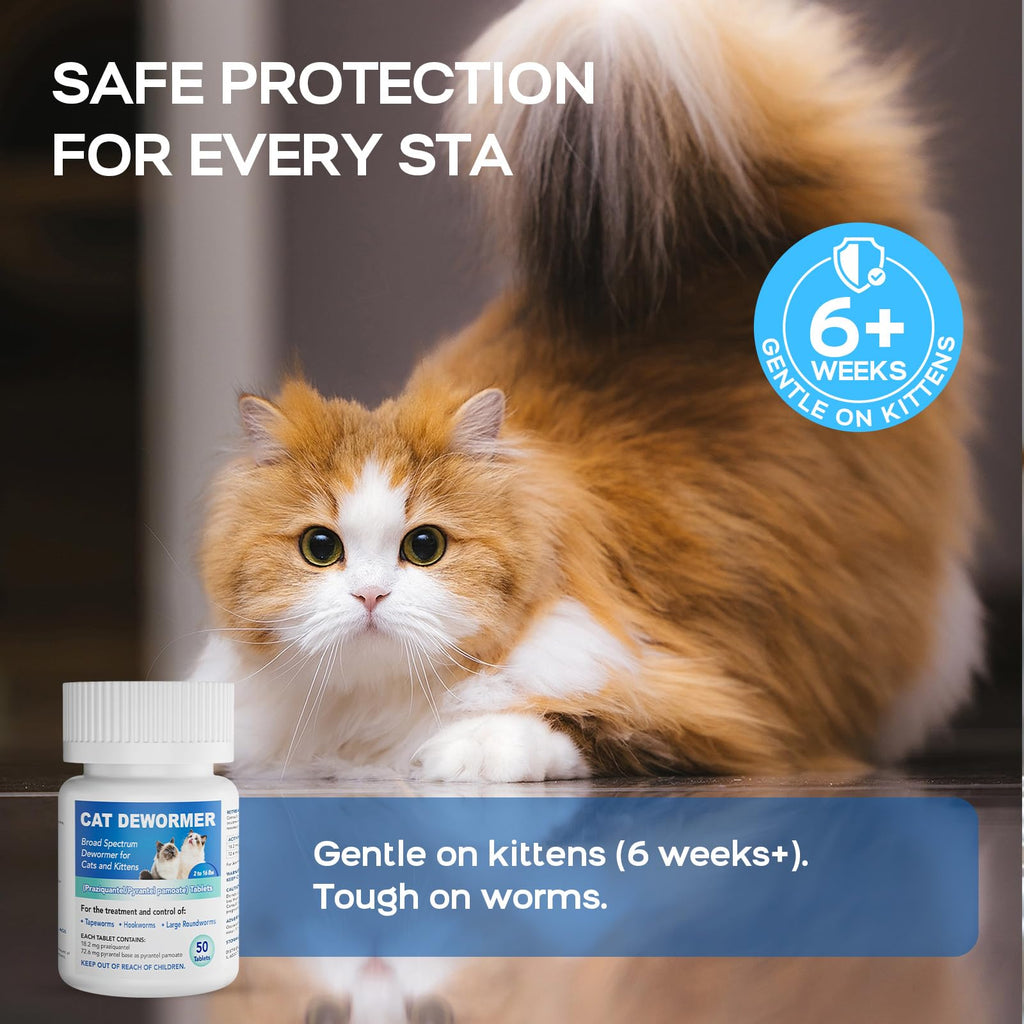 Cat Dewormer All Worms Broad Spectrum Q34748