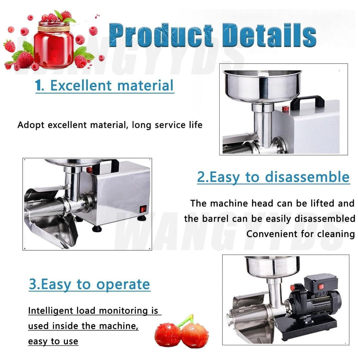 450W Stainless Steel Electric Tomato Strainer E642421