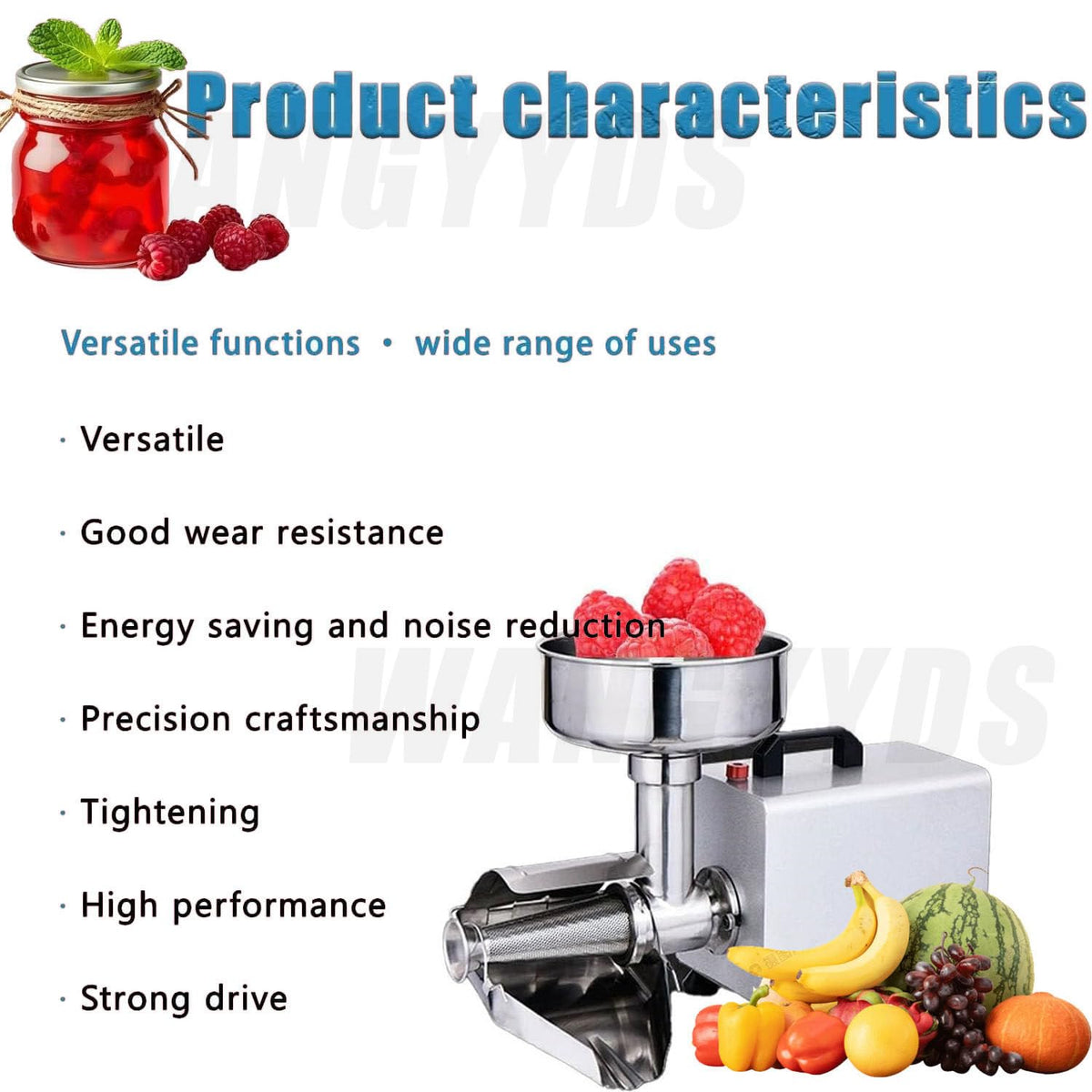 450W Stainless Steel Electric Tomato Strainer E642421