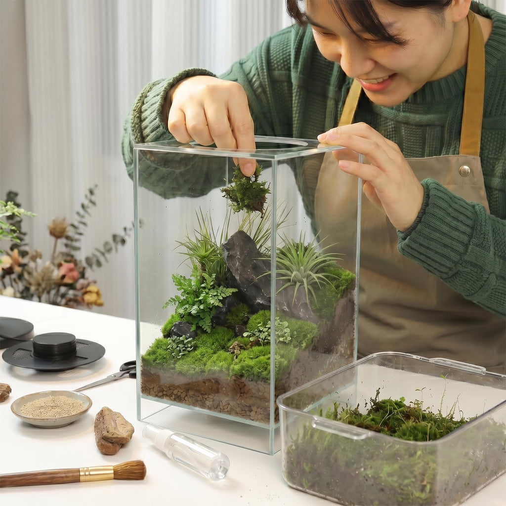 Glass Plant Terrarium with Grow Light Q463