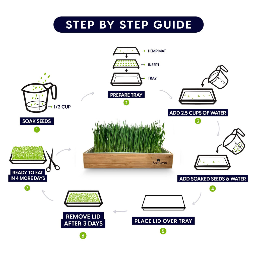 Self-Watering Cat Grass Kit and Refills, 4 Mats and 4 Seed Packets Y886