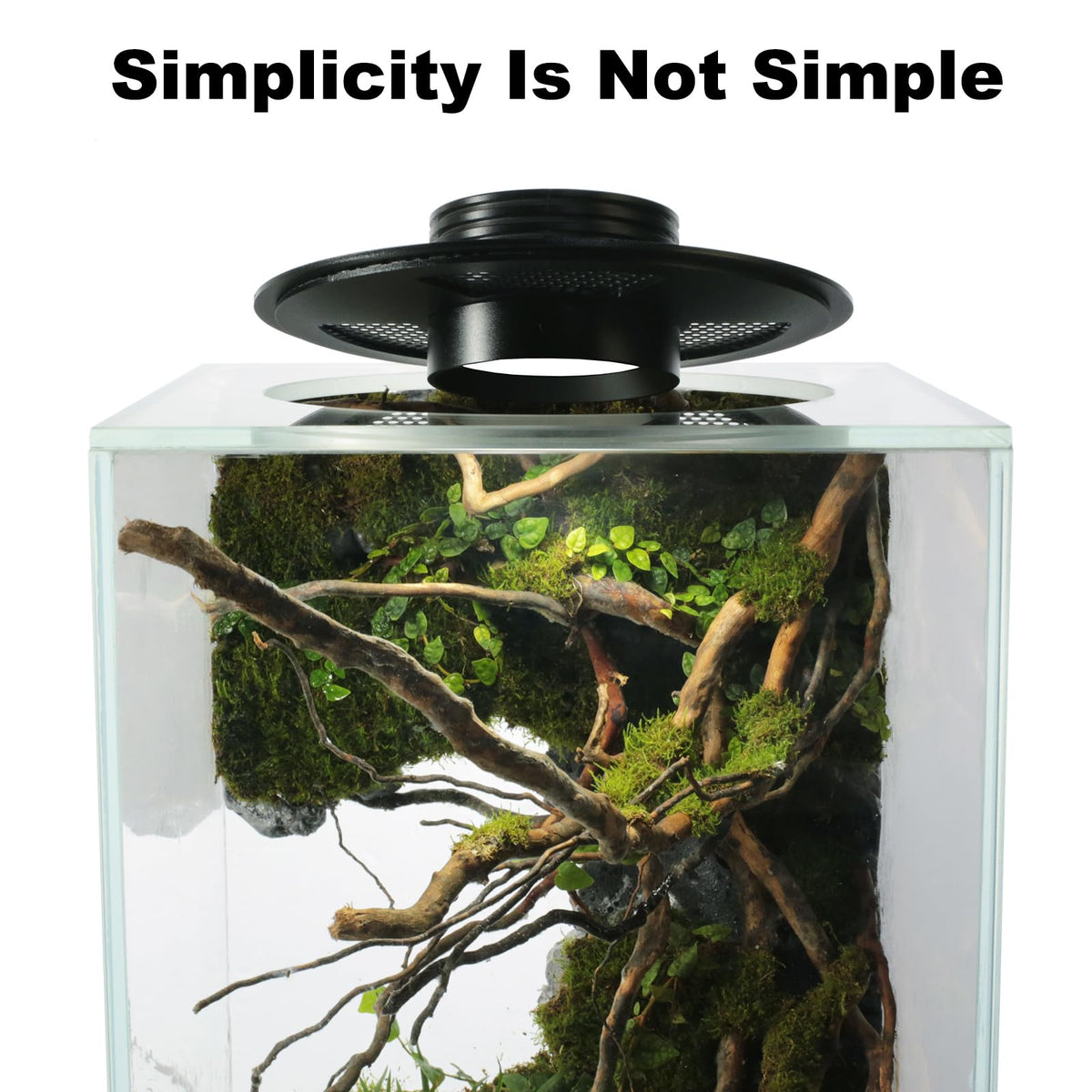Glass Plant Terrarium with Grow Light Q463