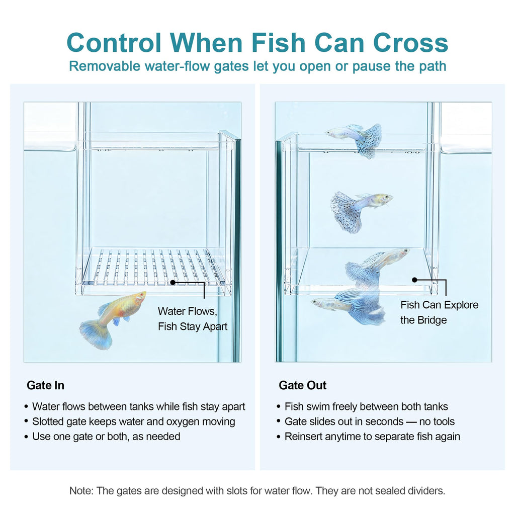 Aquarium Bridge Fish Tank Kit N804