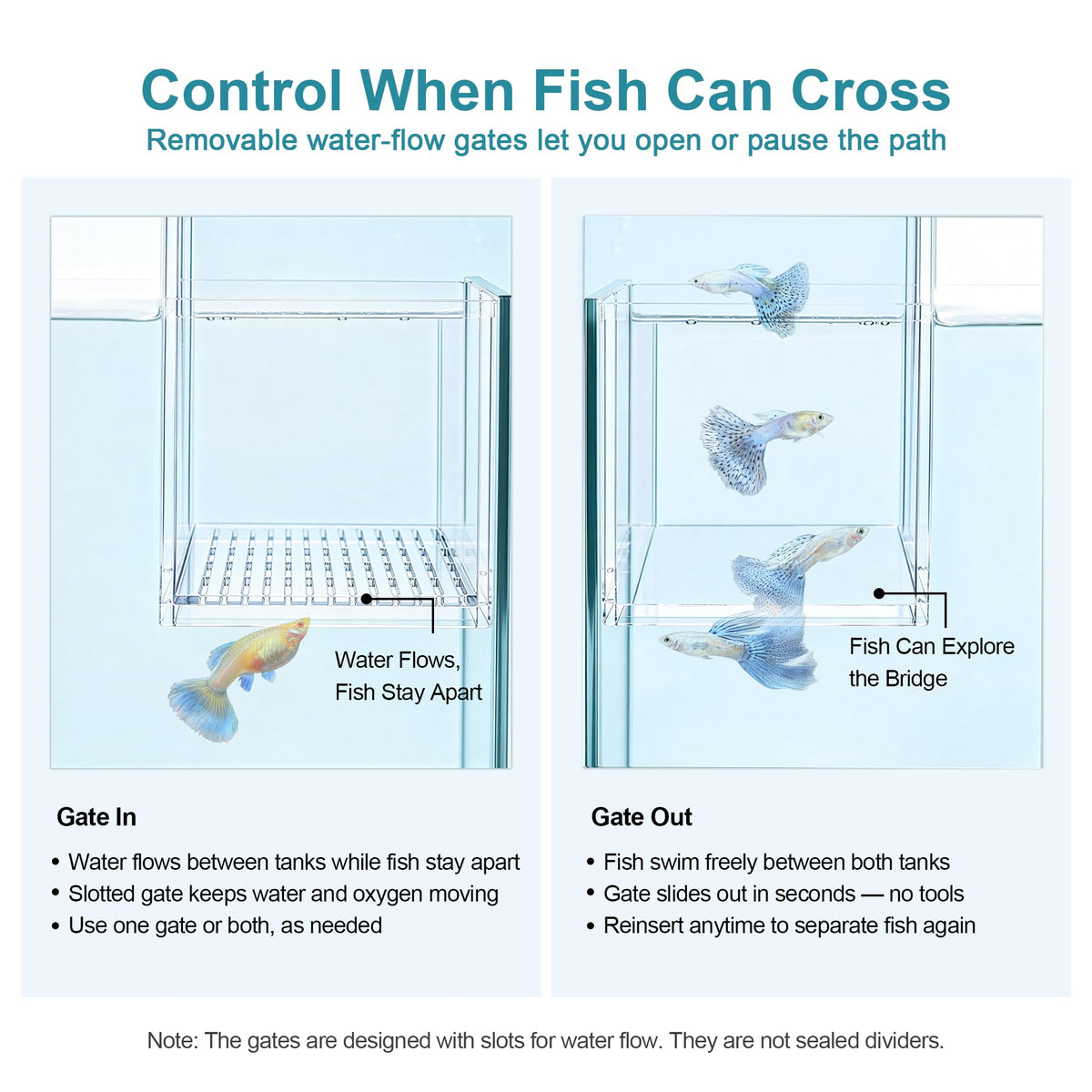 Aquarium Bridge Fish Tank Kit N804