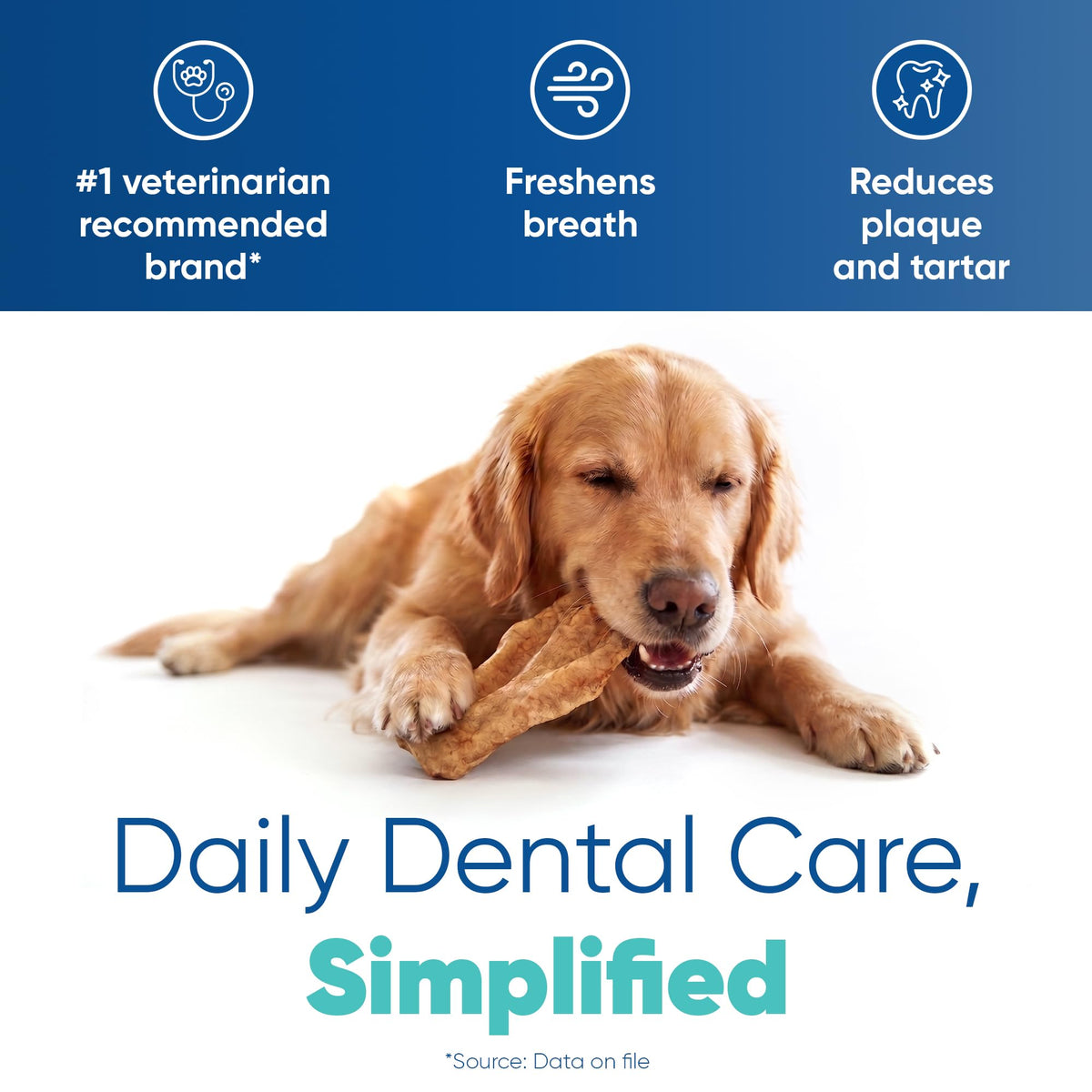 Large Tartar Control Enzymatic Oral Hygiene Chews for Dogs D717464