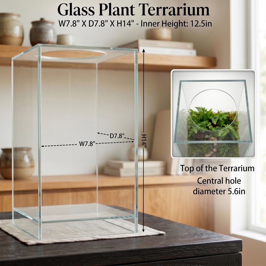 Glass Plant Terrarium with Grow Light Q463