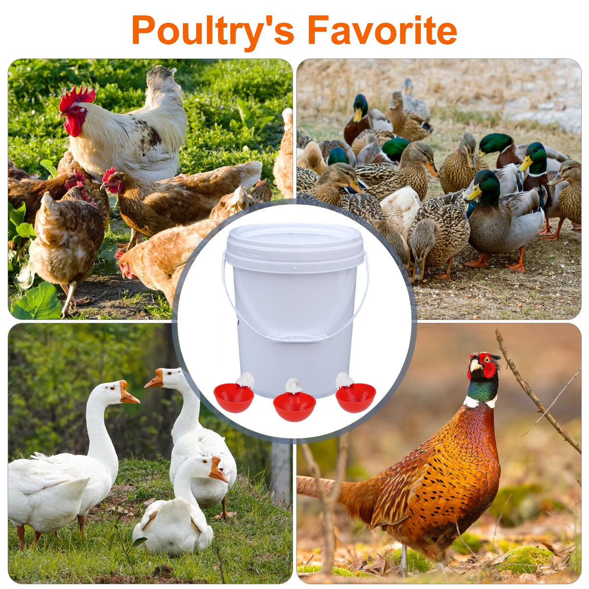 6 Pack Automatic Chicken Waterer Cups P472