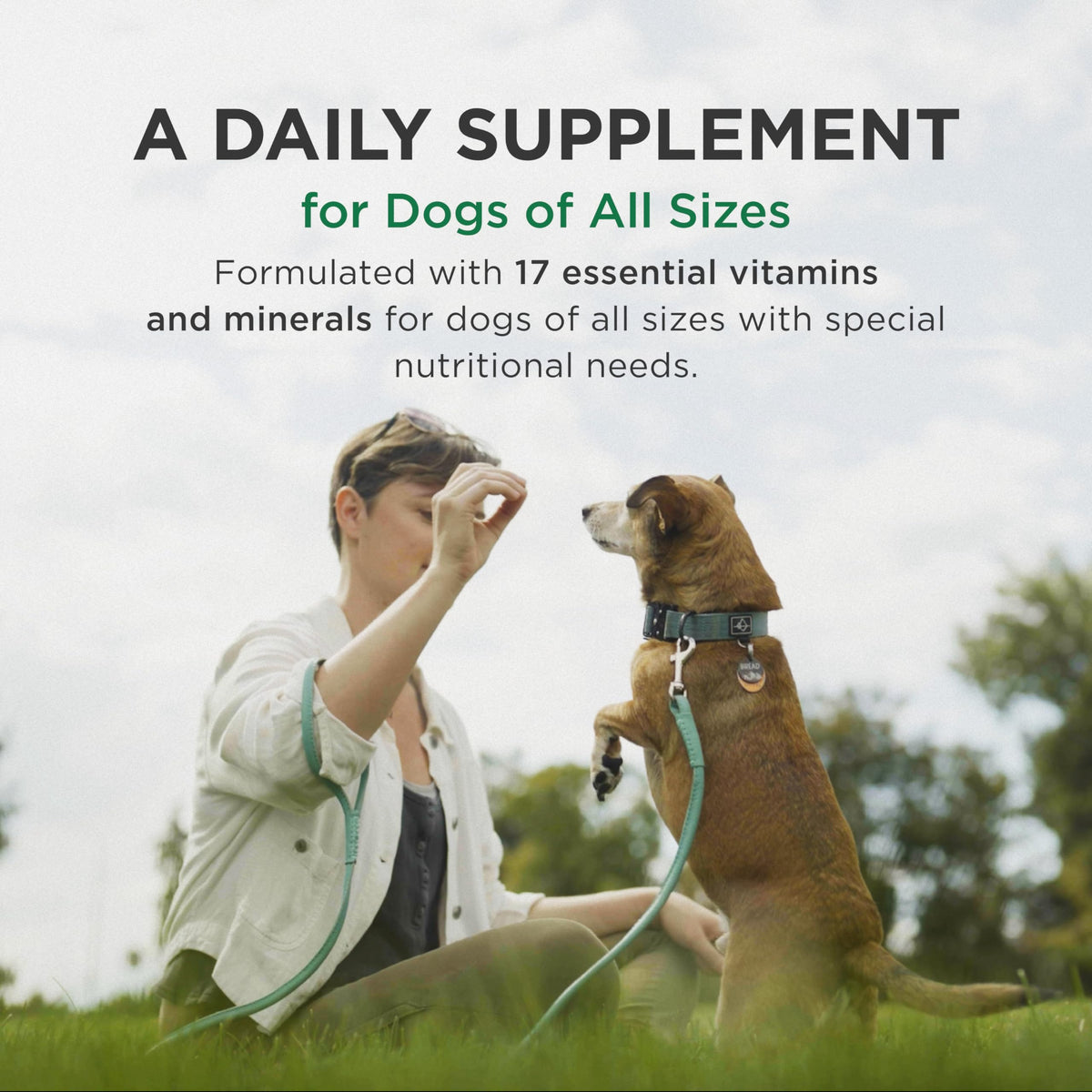 Multivitamin Supplement for Dogs 60 Chewables E160