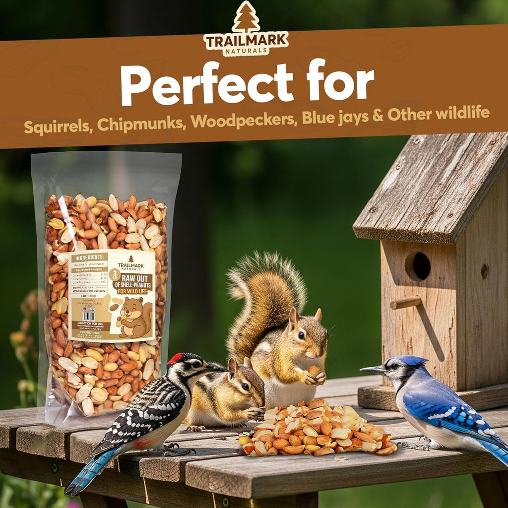 Raw Shelled Peanuts 15 LB T426
