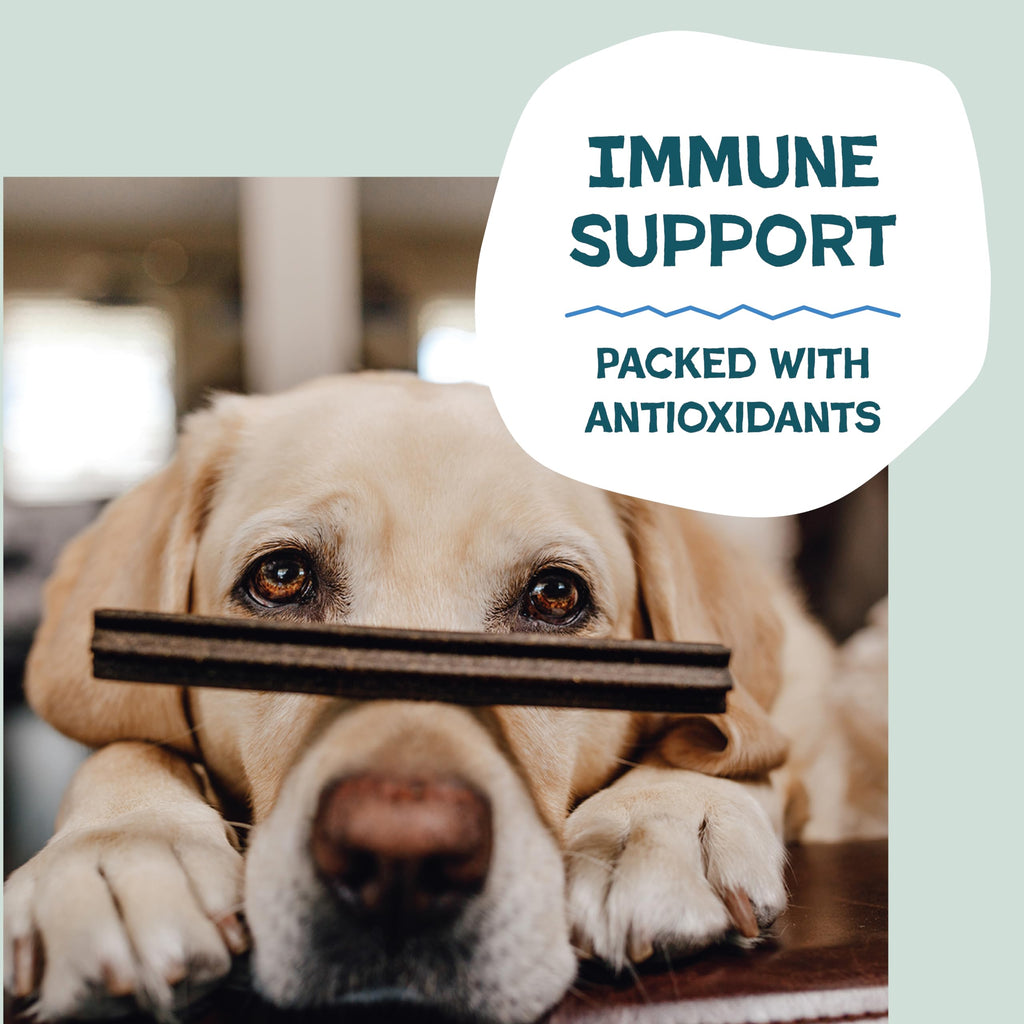 Blueberry & Mint Dental Chews for Dogs, 8 Chews S406