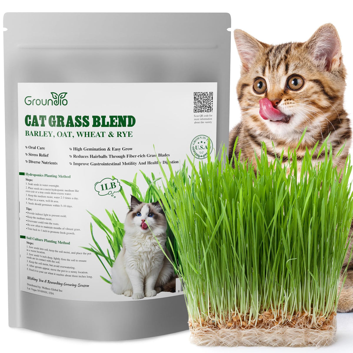 Cat Grass Seeds Bulk 1LB Non-GMO Heirloom Barley Oats Wheat Rye U166