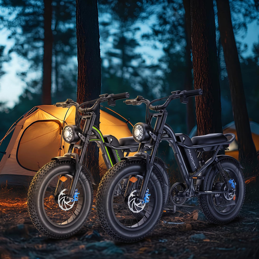 1500W Peak 20" x 4.0" Fat Tire Electric Bike B51834
