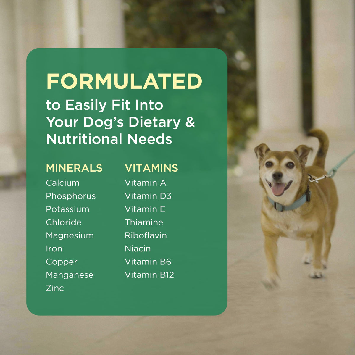 Multivitamin Supplement for Dogs 60 Chewables E160