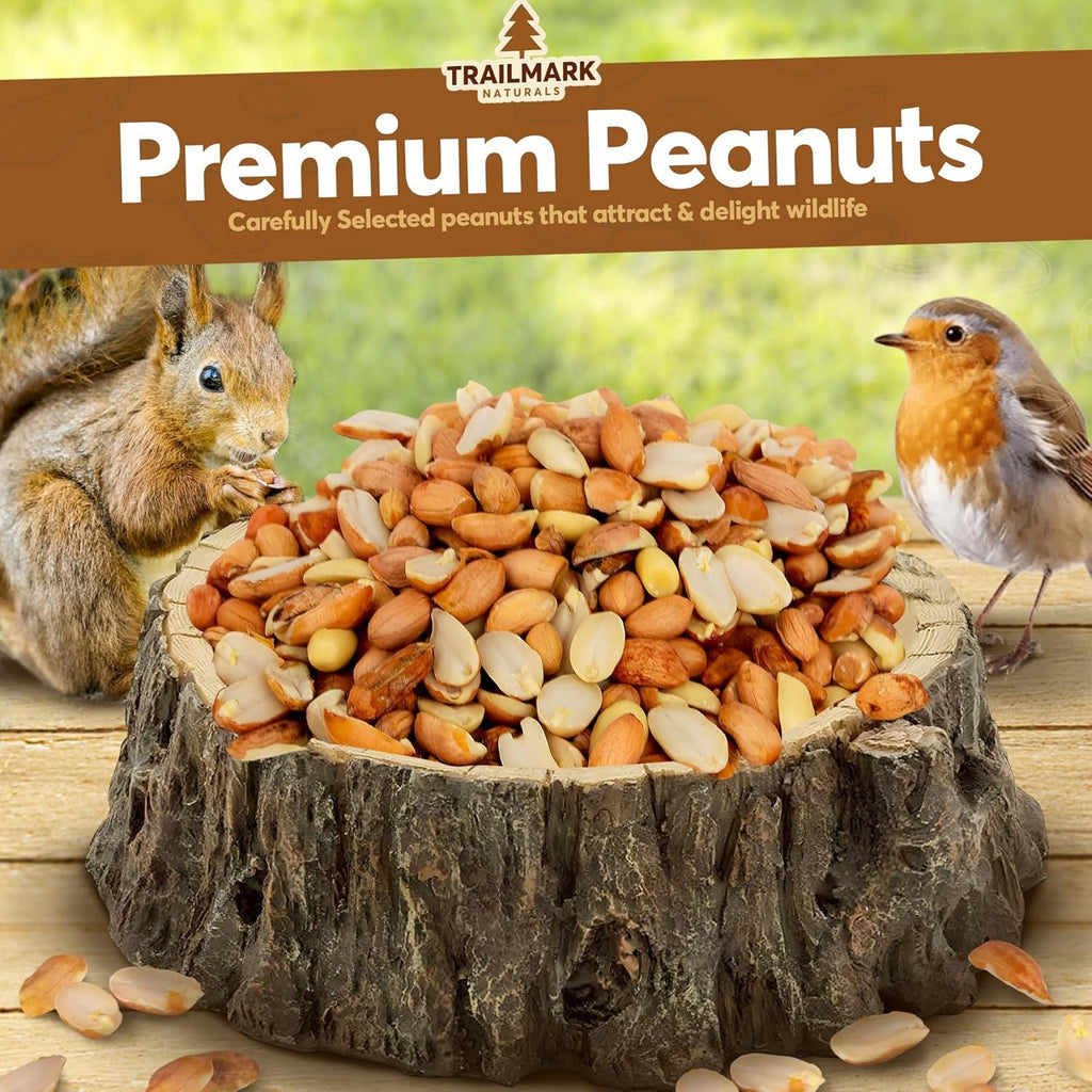 Raw Shelled Peanuts 15 LB T426