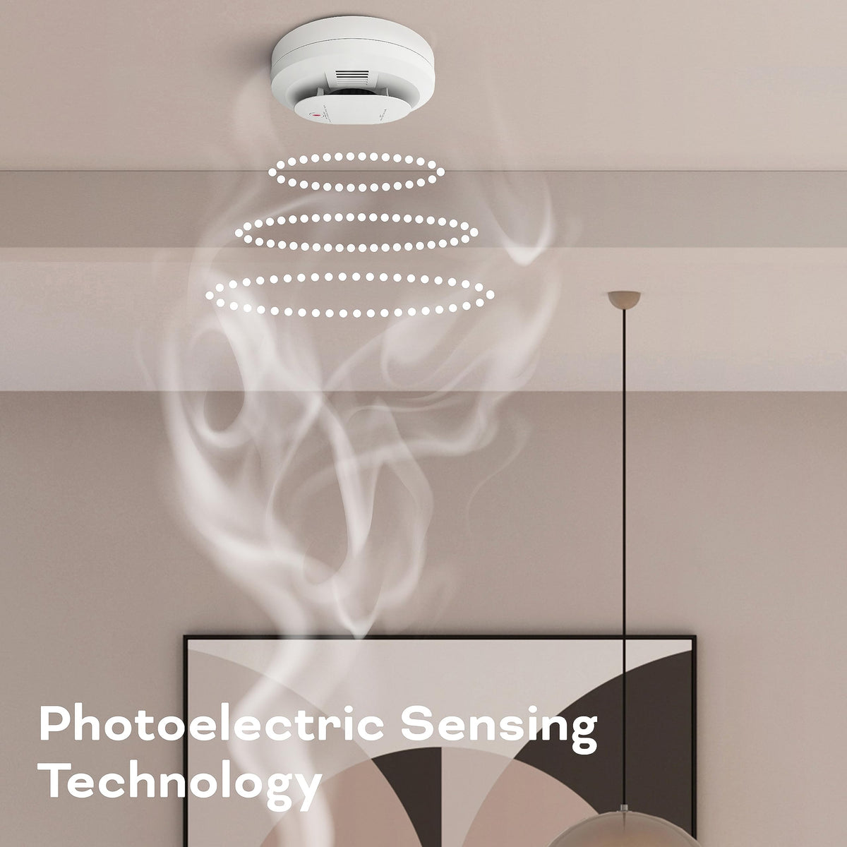 Smoke & Carbon Monoxide Detector, AA Battery Powered M562885