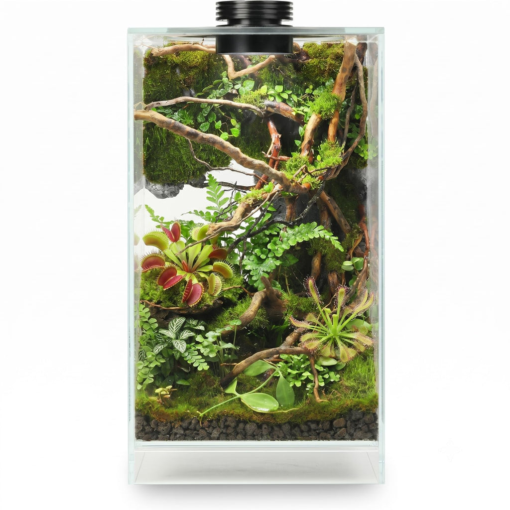 Glass Plant Terrarium with Grow Light Q463