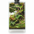 Glass Plant Terrarium with Grow Light Q463