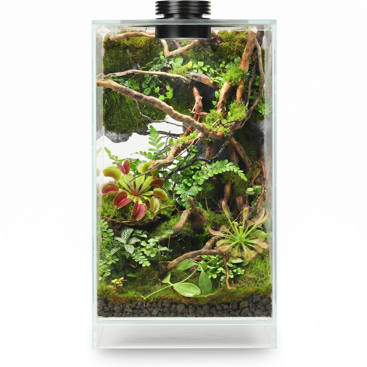 Glass Plant Terrarium with Grow Light Q463