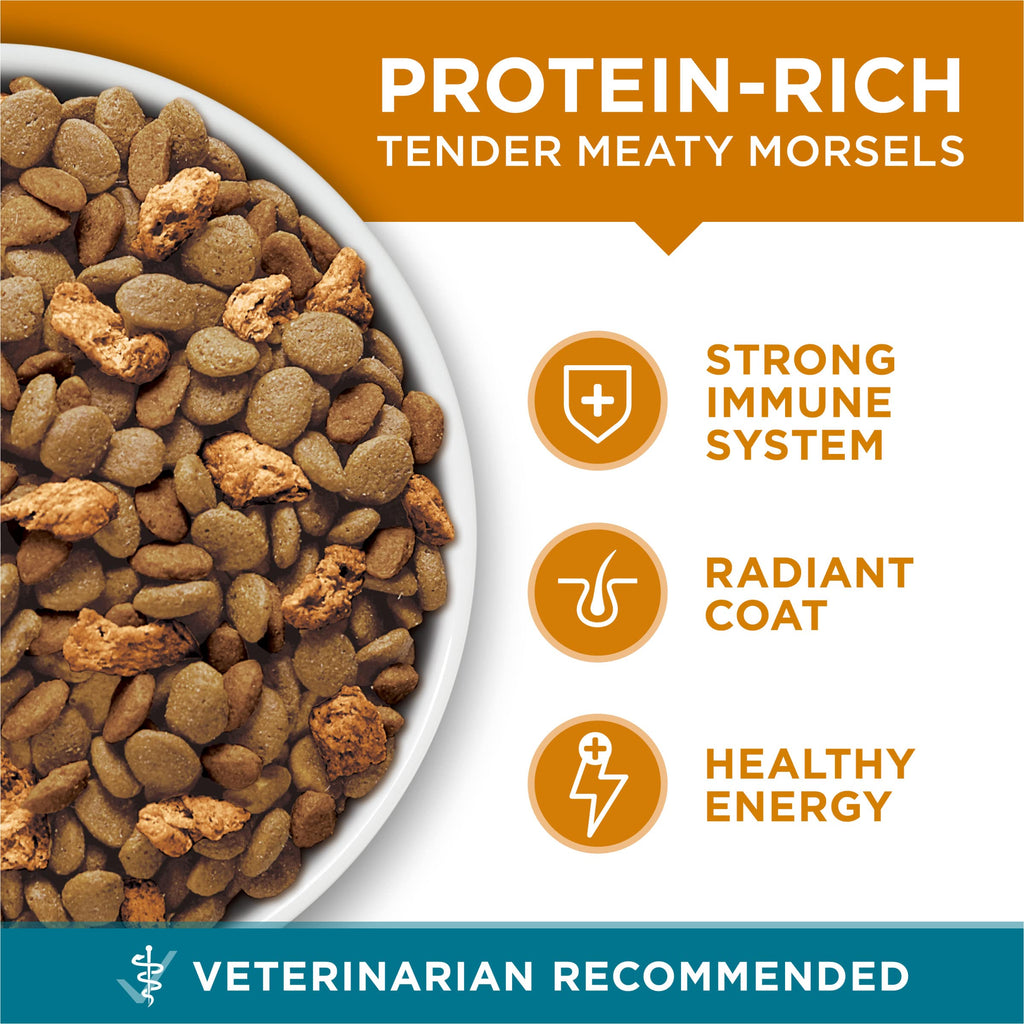Dry Cat Food Chicken 7 lb Bag O1323