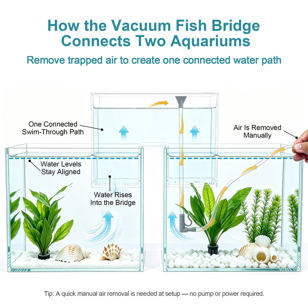 Aquarium Bridge Fish Tank Kit N804