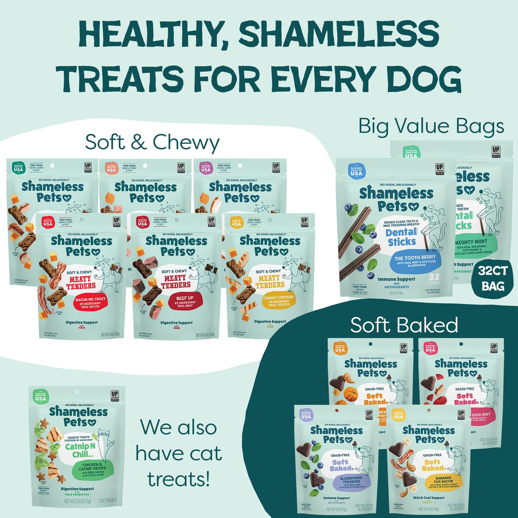 Blueberry & Mint Dental Chews for Dogs, 8 Chews S406