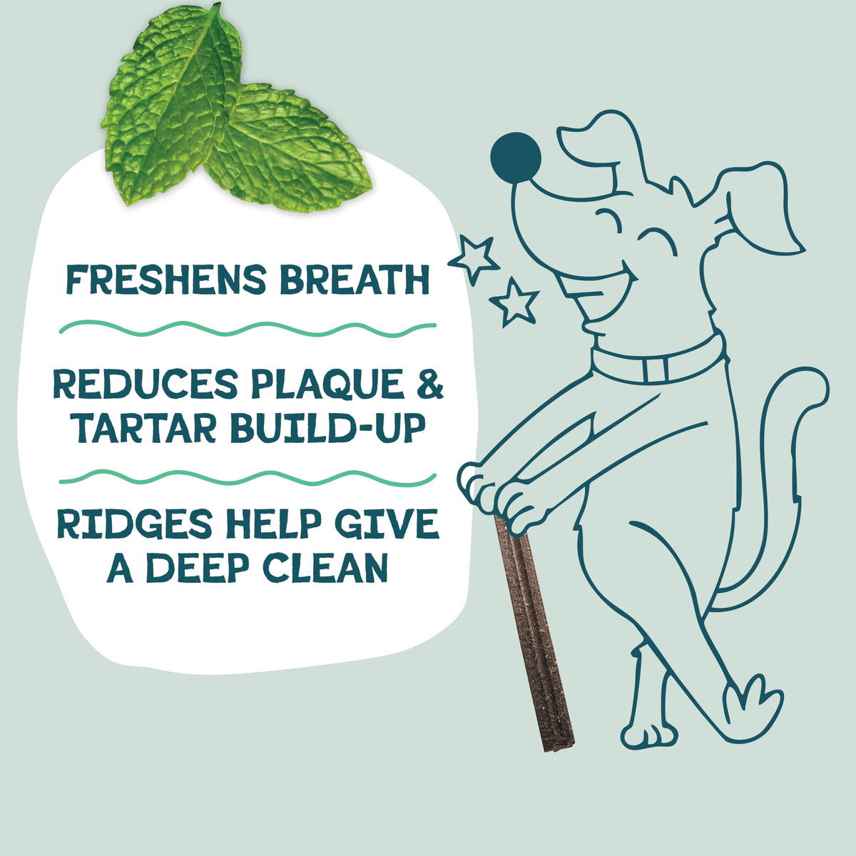 Blueberry & Mint Dental Chews for Dogs, 8 Chews S406