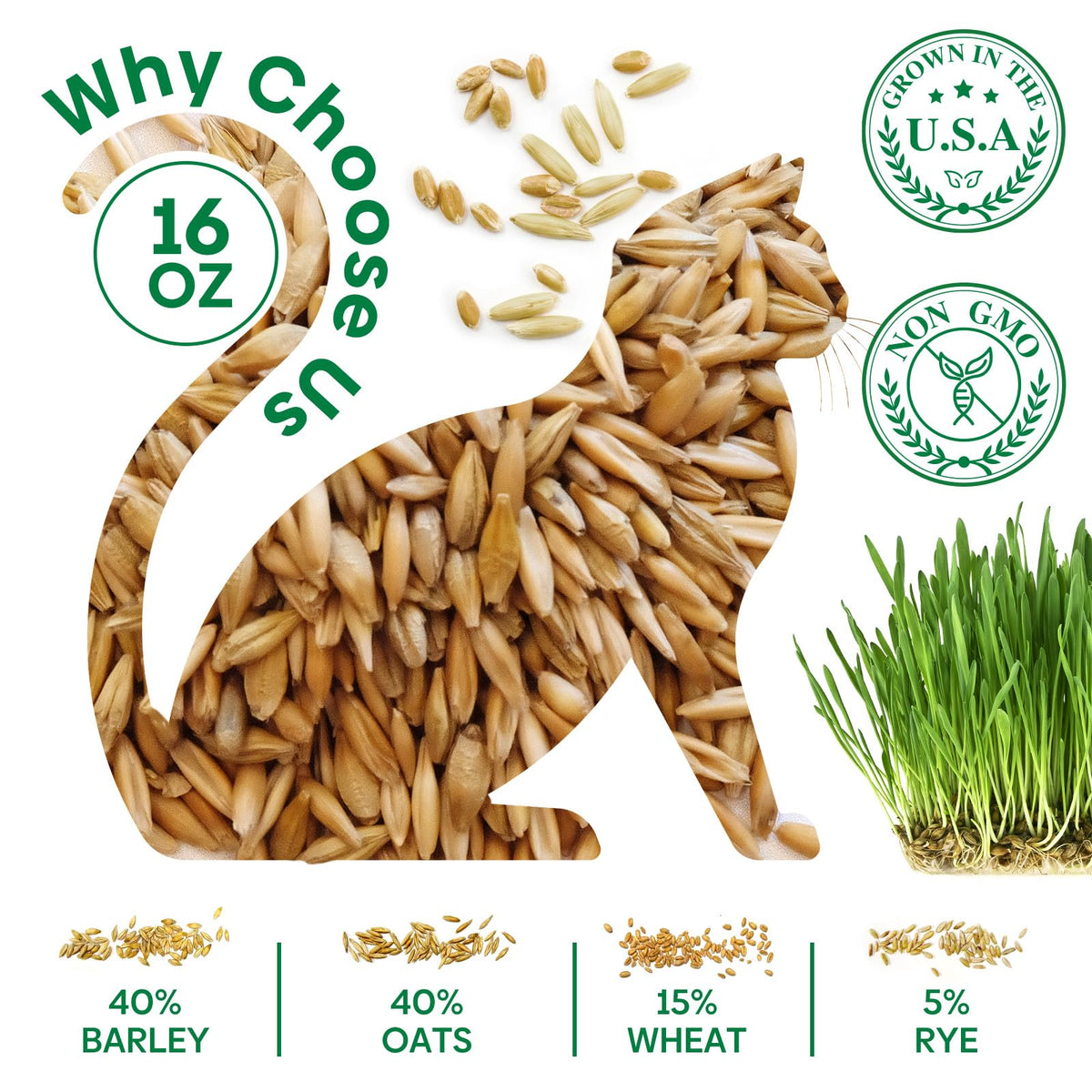 Cat Grass Seeds Bulk 1LB Non-GMO Heirloom Barley Oats Wheat Rye U166