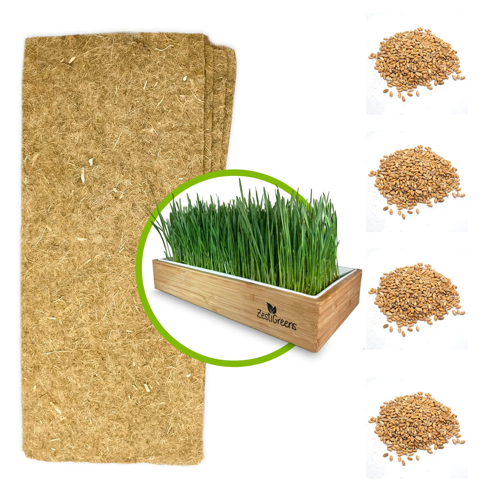 Self-Watering Cat Grass Kit and Refills, 4 Mats and 4 Seed Packets Y886