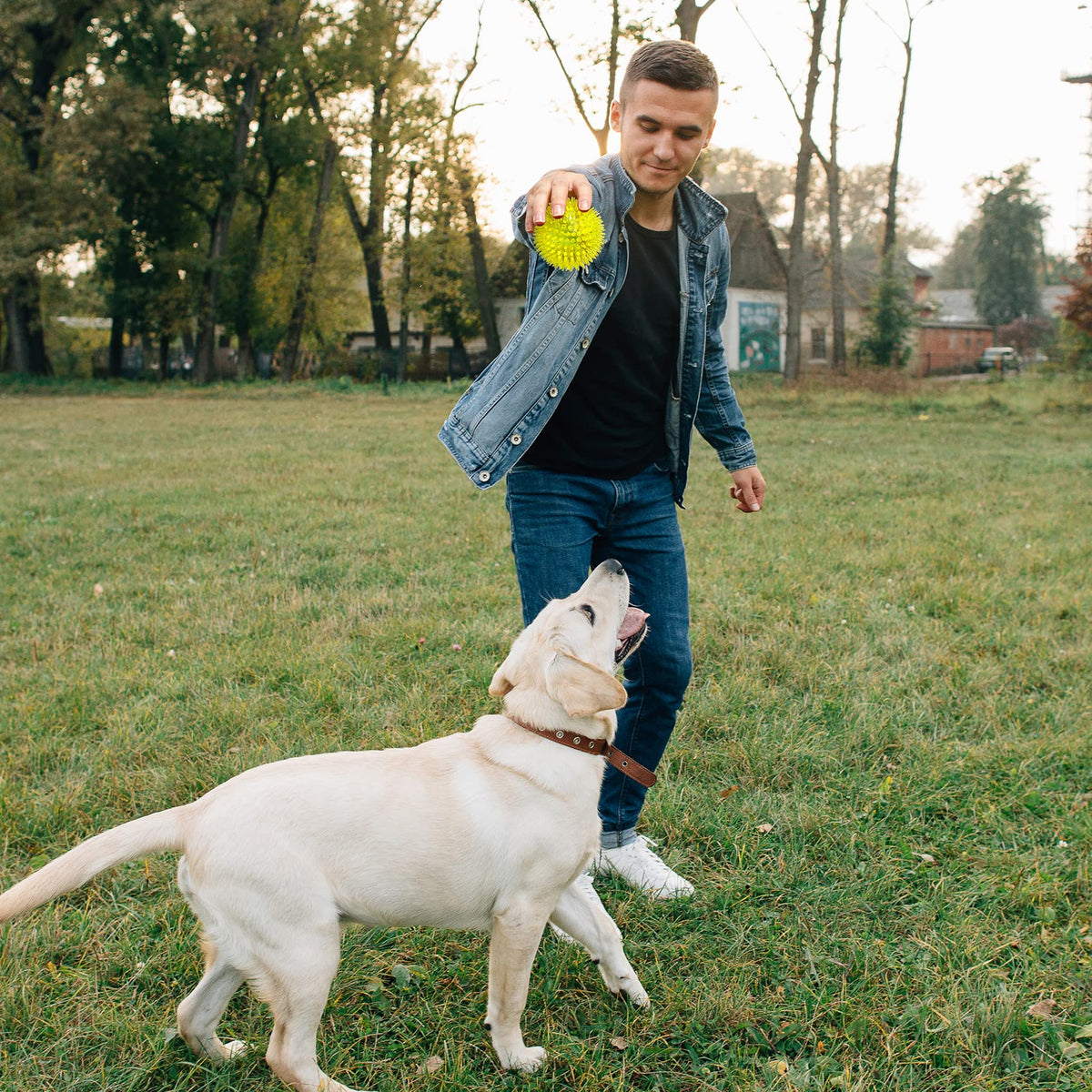 Squeaky Dog Toy Balls BPA Free Non-Toxic R45757
